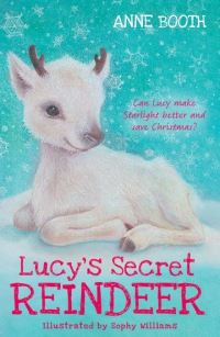 Book Cover for Lucy's Secret Reindeer by Anne Booth