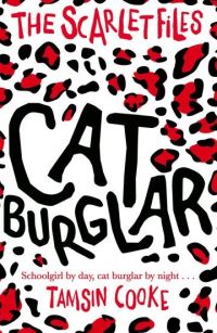 Book Cover for Cat Burglar by Tamsin Cooke