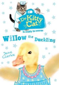 Book Cover for Willow the Duckling by Jane Clarke