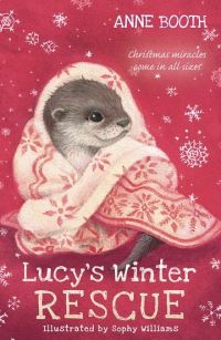 Book Cover for Lucy's Winter Rescue by Anne Booth