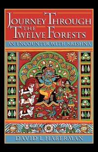 Book Cover for Journey Through the Twelve Forests by David L Haberman