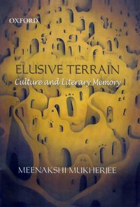 Book Cover for Elusive Terrain by Meenakshi Mukherjee