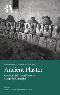 Book Cover for Ancient Plaster by Abbey L R Ellis, Emma Payne