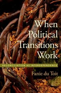 Book Cover for When Political Transitions Work by Fanie Du Toit