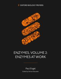 Book Cover for Enzymes, Volume 2 by Paul Engel