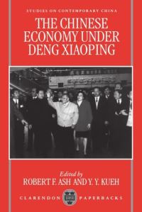 Book Cover for The Chinese Economy in the 1990S by Robert Ash, Y Y Kueh