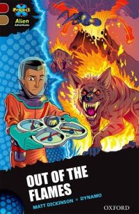 Book Cover for Out of the Flames by Matt Dickinson