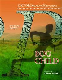 Book Cover for Bog Child by Adrian Flynn, Siobhan Dowd