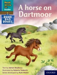 Book Cover for A Horse on Dartmoor by Adrian Bradbury