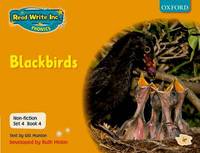 Book Cover for Read Write Inc. Phonics by Gill Munton, Ruth Miskin