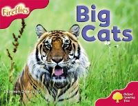 Book Cover for Big Cats by Thelma Page