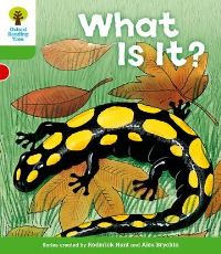 Book Cover for What Is It? by Roderick Hunt, Thelma Page, Alex Brychta