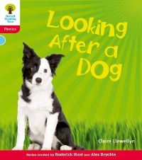 Book Cover for Looking After a Dog by Claire Llewellyn, Roderick Hunt, Alex Brychta