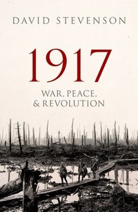Book Cover for 1917 by D Stevenson
