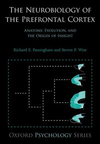 Book Cover for The Neurobiology of the Prefrontal Cortex by R E Passingham, Steven P Wise