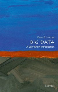 Book Cover for Big Data by Dawn E Holmes