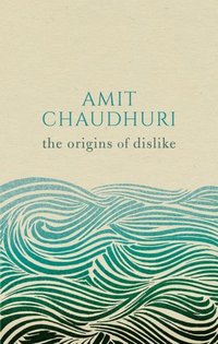 Book Cover for The Origins of Dislike by Amit Chaudhuri