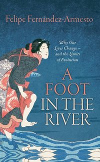 Book Cover for A Foot in the River by Felipe FernándezArmesto