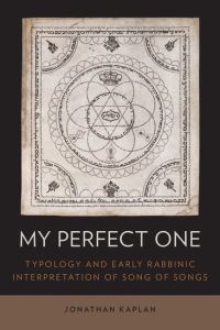 Book Cover for My Perfect One by Jonathan Kaplan