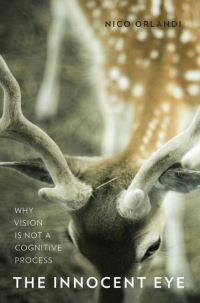 Book Cover for The Innocent Eye by Nico Orlandi