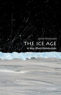 Book Cover for The Ice Age by Jamie C Woodward