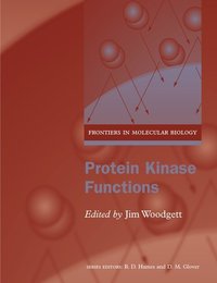 Book Cover for Protein Kinase Functions by James Robert Woodgett