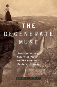 Book Cover for The Degenerate Muse by Robin G Schulze