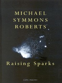 Book Cover for Raising Sparks by Michael Symmons Roberts