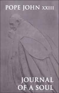 Book Cover for Journal of a Soul by John