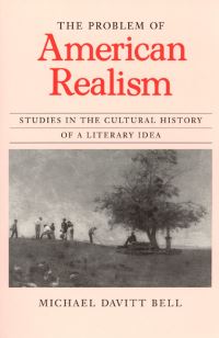 Book Cover for The Problem of American Realism by Michael Davitt Bell