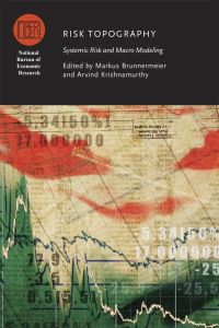 Book Cover for Risk Topography by Markus Konrad Brunnermeier, Arvind Krishnamurthy