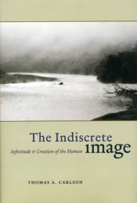 Book Cover for The Indiscrete Image by Thomas A Carlson