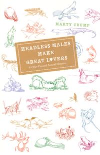 Book Cover for Headless Males Make Great Lovers by Marty Crump