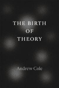 Book Cover for The Birth of Theory by Andrew Cole