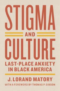 Book Cover for Stigma and Culture by James Lorand Matory