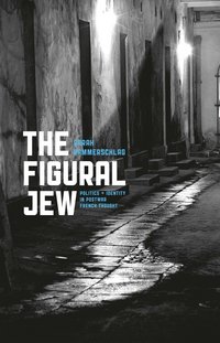 Book Cover for The Figural Jew by Sarah Hammerschlag