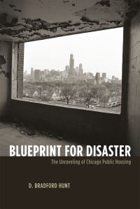 Book Cover for Blueprint for Disaster by D Bradford Hunt