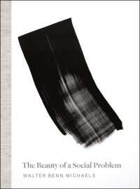 Book Cover for The Beauty of a Social Problem by Walter Benn Michaels