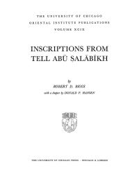 Book Cover for Inscriptions from Tell Abu Salabikh by Robert D Biggs