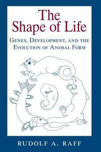 Book Cover for The Shape of Life by Rudolf A Raff