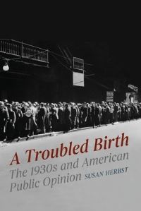 Book Cover for A Troubled Birth by Susan Herbst