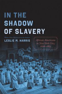 Book Cover for In the Shadow of Slavery by Leslie M Harris