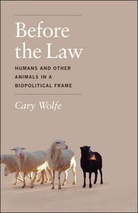 Book Cover for Before the Law by Cary Wolfe
