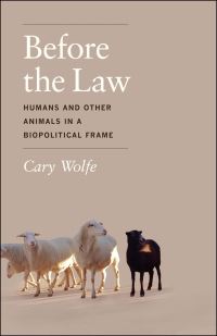 Book Cover for Before the Law by Cary Wolfe