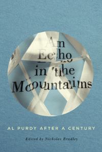 Book Cover for An Echo in the Mountains by Nicholas Bradley