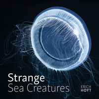Book Cover for Strange Sea Creatures by Erich Hoyt