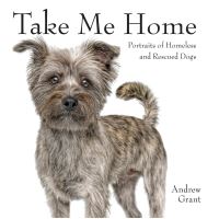 Book Cover for Take Me Home by Andrew Grant