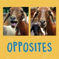 Book Cover for Opposites by Kathy Knowles