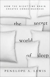 Book Cover for The Secret World of Sleep by Penelope A Lewis