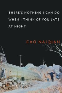Book Cover for There's Nothing I Can Do When I Think of You Late at Night by Naiqian Cao, John Balcom